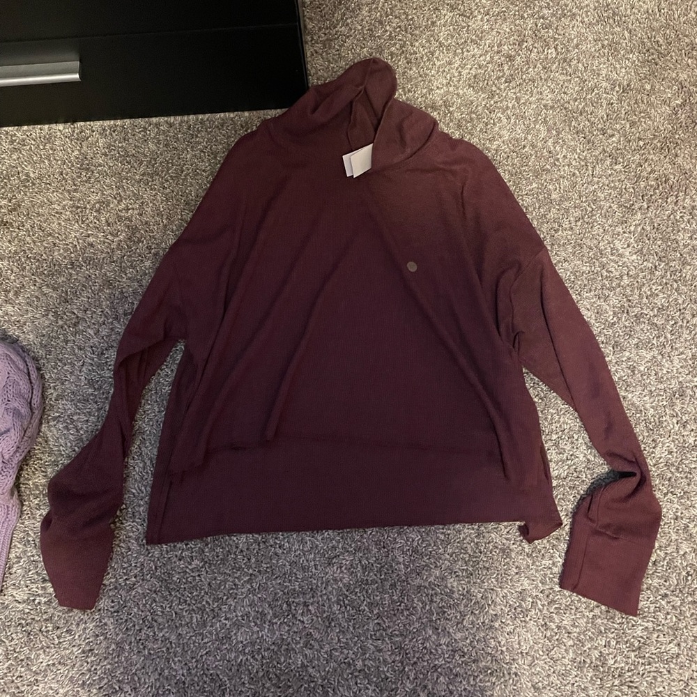 Maroon American Eagle Turtle Neck Sweater